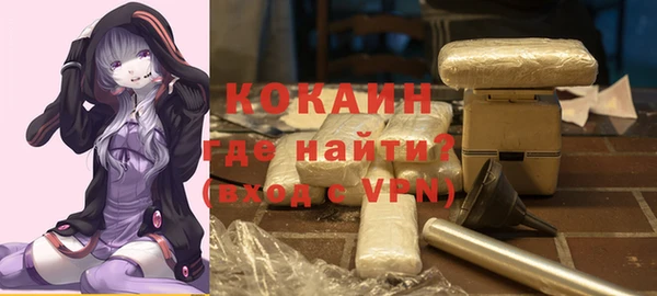 стаф Алзамай