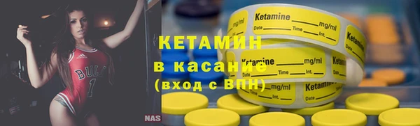 стаф Алзамай