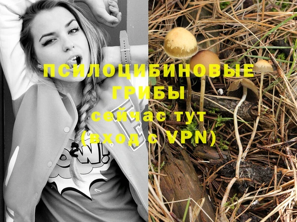 марки nbome Няндома