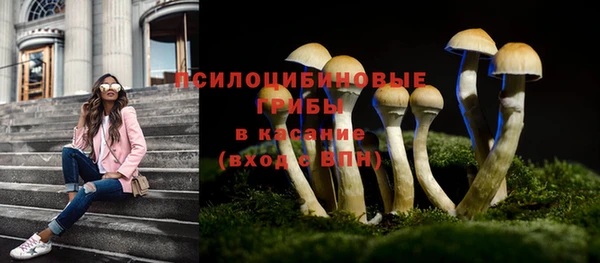 стаф Алзамай
