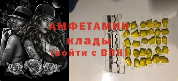 стаф Алзамай