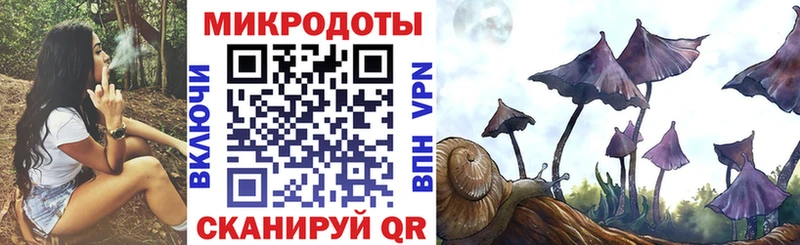 Псилоцибиновые грибы Magic Shrooms  цены наркотик  Чердынь 